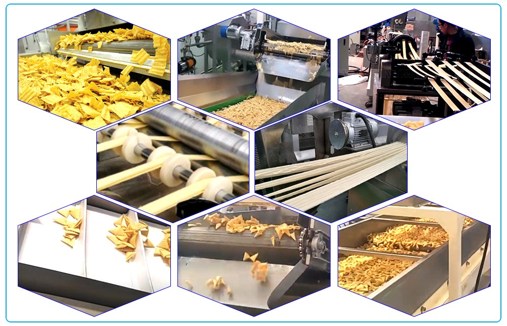 Snack Food Processing System