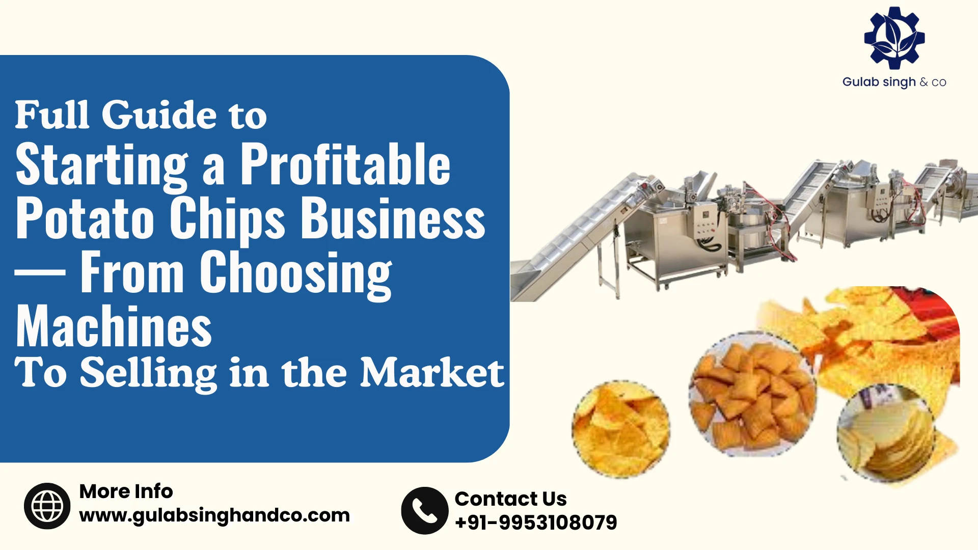 You are currently viewing How to Start a Profitable Potato Chips Business