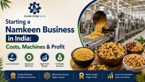 Read more about the article Starting a Namkeen Business in India: Costs, Machines & Profit